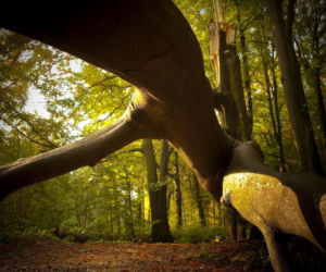 Lista najlepszych miejsc na aktywną majówkę