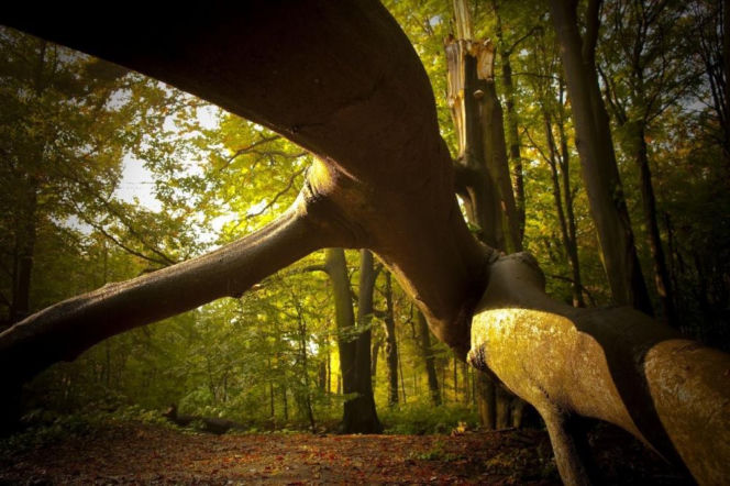 Lista najlepszych miejsc na aktywną majówkę