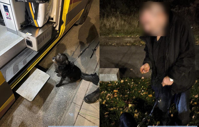 Pies uratował właściciela. Niezwykły finał poszukiwań zaginionego