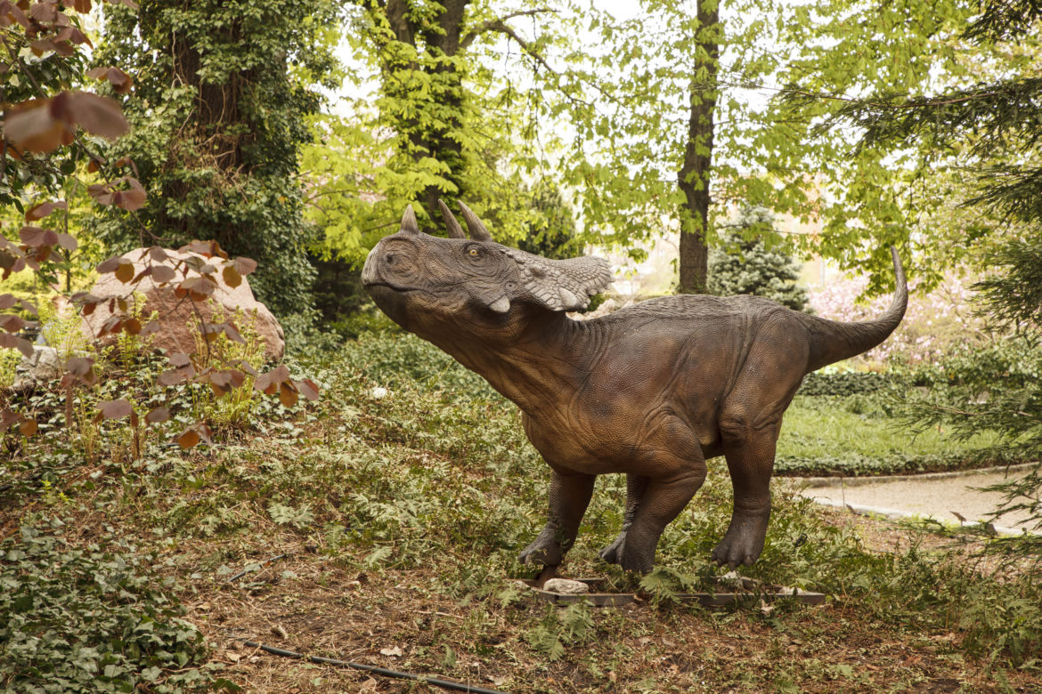 Dinozaury opanowały wrocławski ogród botaniczny