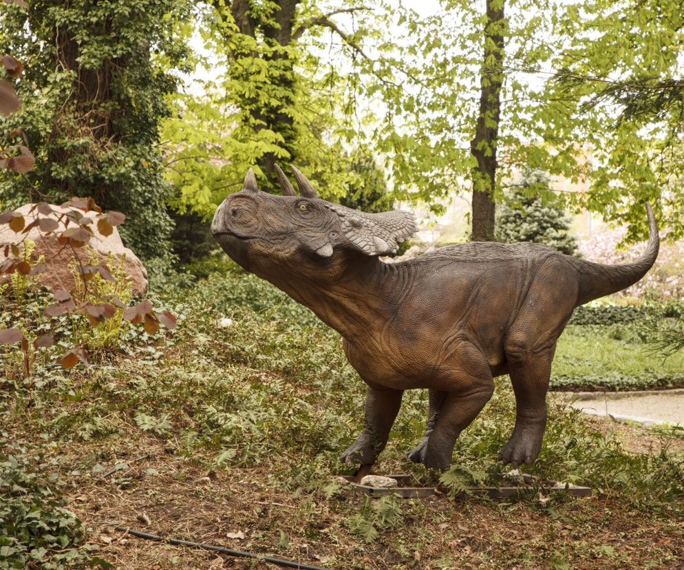 Dinozaury opanowały wrocławski ogród botaniczny