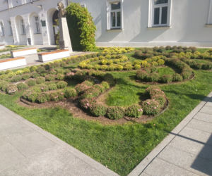 Rzeszów stroi się jesienią