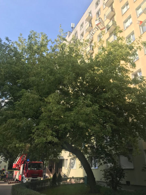 Brawurowa akcja strażaków na Pradze Południe