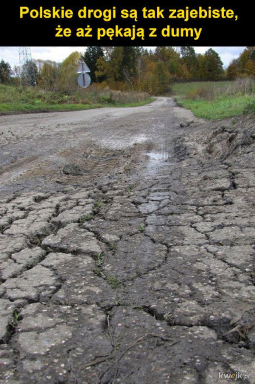Tak się śmieją z Polski i Polaków! TOP 40 najśmieszniejszych memów