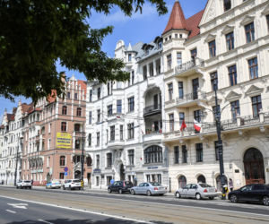 Tego psa wyrzuciła posłanka bez serca