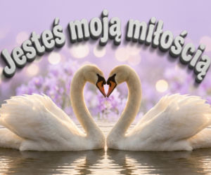 Kartki na Walentynki 2026 do ściągnięcia. Najlepsze życzenia walentynkowe