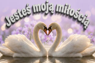 Kartki na Walentynki 2026 do ściągnięcia. Najlepsze życzenia walentynkowe