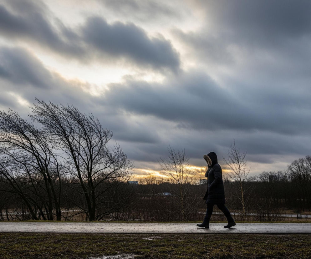Na obrazie widoczna jest sylwetka osoby idącej po ścieżce, z dominującym zachmurzonym niebem. Osoba ubrana jest w ciemną kurtkę z kapturem obszytym futerkiem, kroczy w lewą stronę kadru. Główne kolory to odcienie szarości i brązu, z jaśniejszym, złocistym pasmem nieba prześwitującym horyzontalnie przez chmury. Na pierwszym planie, po lewej i prawej stronie ścieżki, znajduje się trawa i błoto, a za ścieżką rozciąga się pas drzew i krzewów o nagich gałęziach.