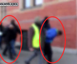 Polska policja rozbiła mafię