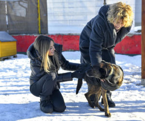 Małgorzata Rozenek-Majdan odwiedziła schronisko w Łodzi