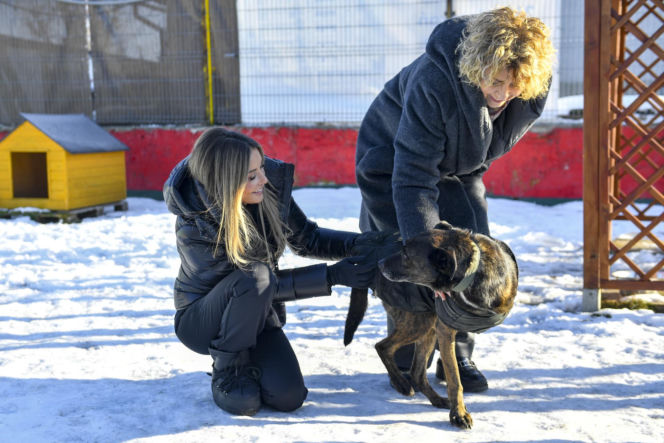 Małgorzata Rozenek-Majdan odwiedziła schronisko w Łodzi