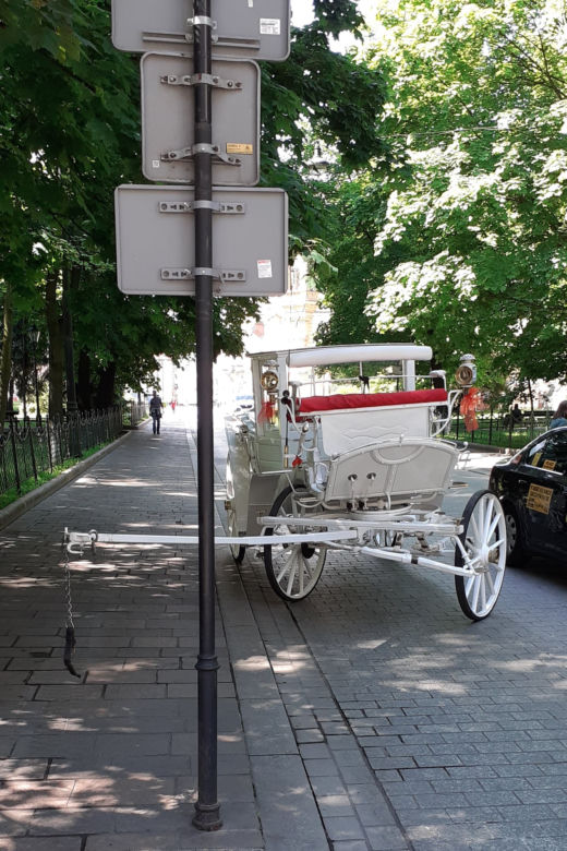 Dorożka jeździła bez woźnicy. O krok od tragedii w samym centrum Krakowa! [ZDJĘCIA]
