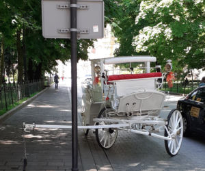 Dorożka jeździła bez woźnicy. O krok od tragedii w samym centrum Krakowa! [ZDJĘCIA]
