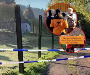 Zatrzymano pięć osób z prywatnego zoo. Śledczy: zwierzęta cierpiały i umierały