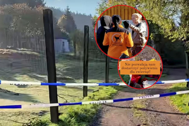Zatrzymano pięć osób z prywatnego zoo. Śledczy: zwierzęta cierpiały i umierały