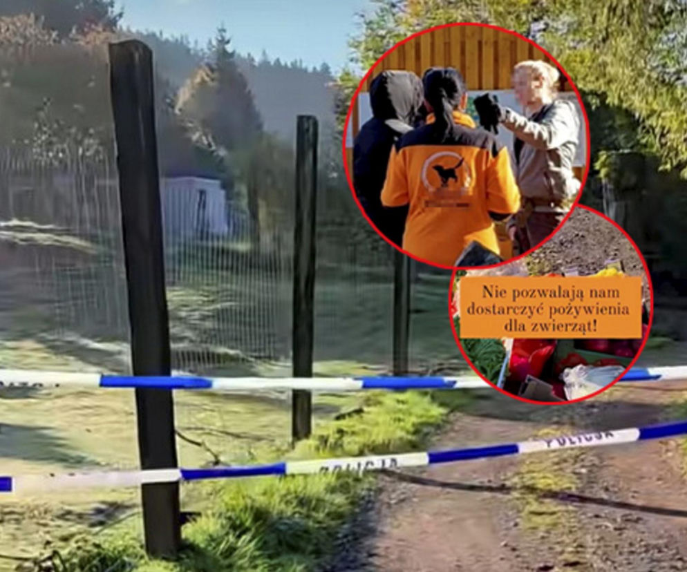 Biało-niebieska taśma policyjna zagradza wejście do zoo. O zarzutach dla pracowników przeczytasz na Eska Wrocław.
