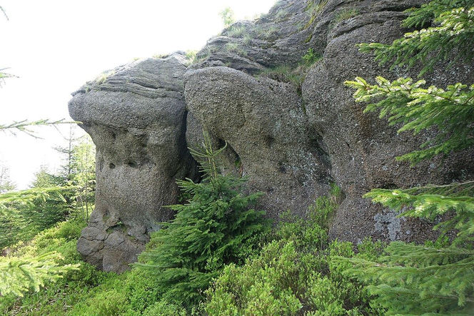 Magurka Radziechowska na zdjęciach