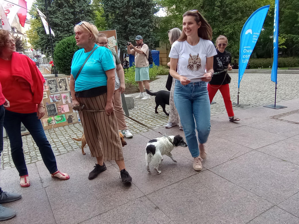 Sztuka dla zwierząt10
