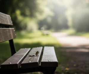 Skatowany królik w Krakowie. Walczy o życie, co zadecydowali weterynarze?