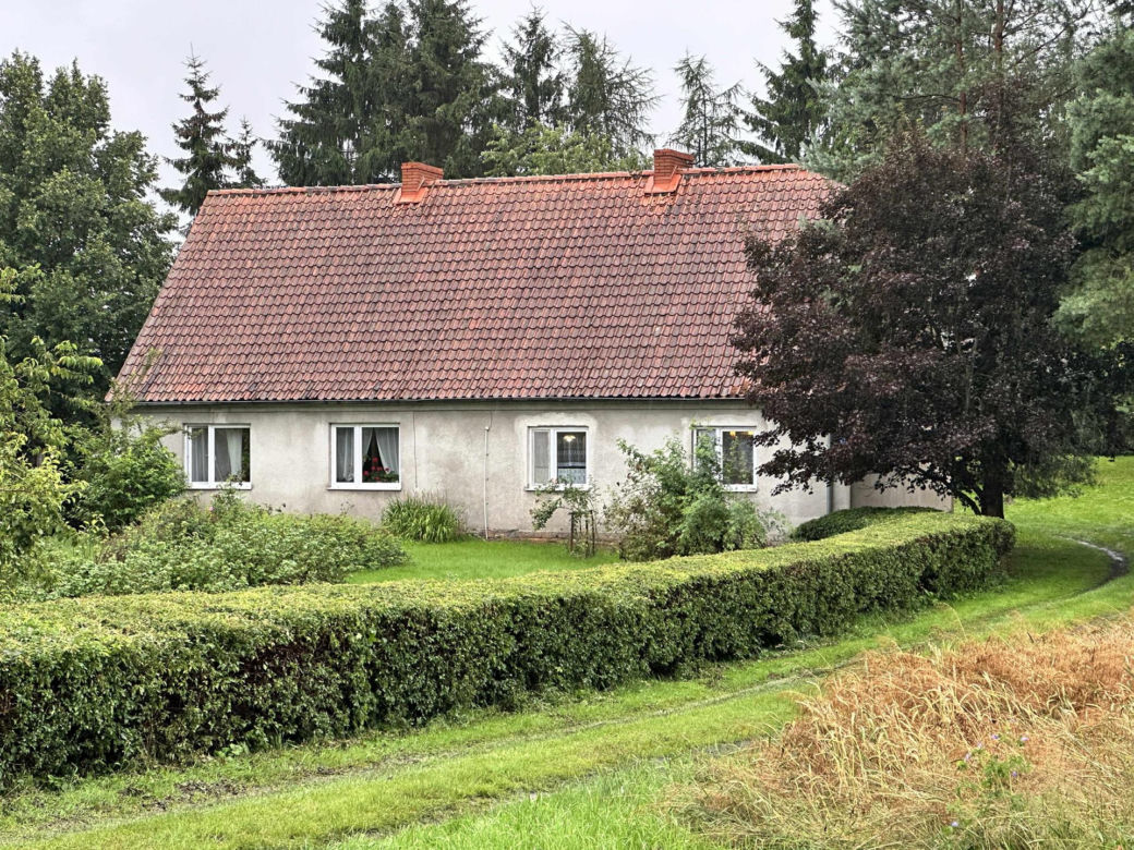 Zabójstwo pod Iławą
