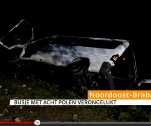 HOLANDIA. Wypadek busa z Polakami. W ZIJTAART bus uderzył w drzewo - 8 rannych