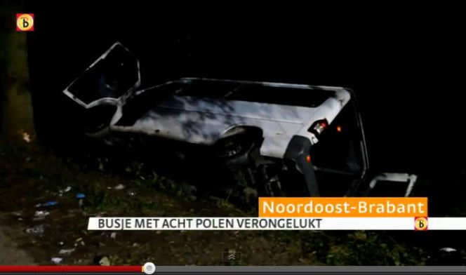 HOLANDIA. Wypadek busa z Polakami. W ZIJTAART bus uderzył w drzewo - 8 rannych