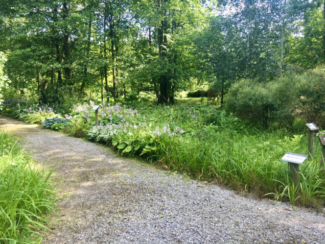 Arboretum w Marculach