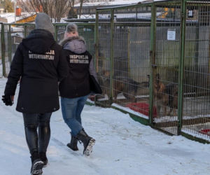 Zdjęcia z kontroli w bytomskim schronisku