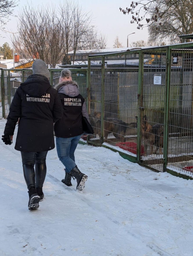 Zdjęcia z kontroli w bytomskim schronisku