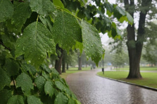 Szykujcie kurtki i szorty w Krynicy-Zdroju. Idzie załamanie pogody, ale weekend to wynagrodzi