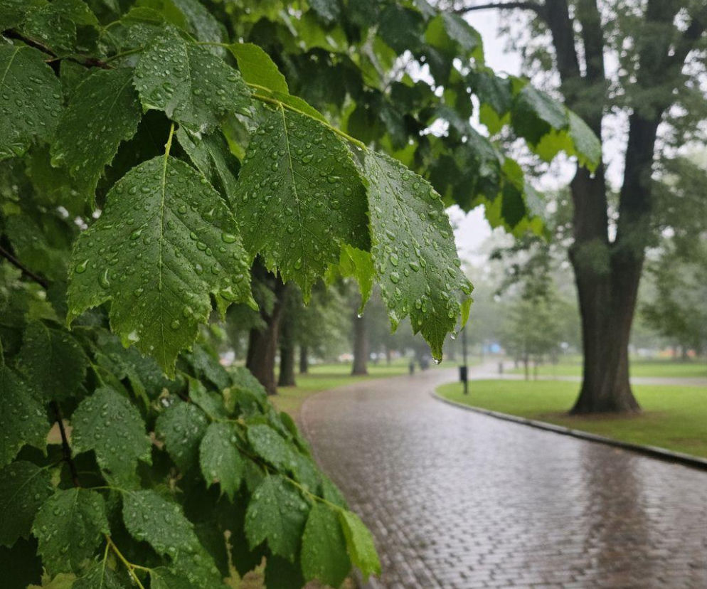 Szykujcie kurtki i szorty w Krynicy-Zdroju. Idzie załamanie pogody, ale weekend to wynagrodzi