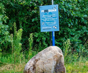 Piesuar na Bielanach