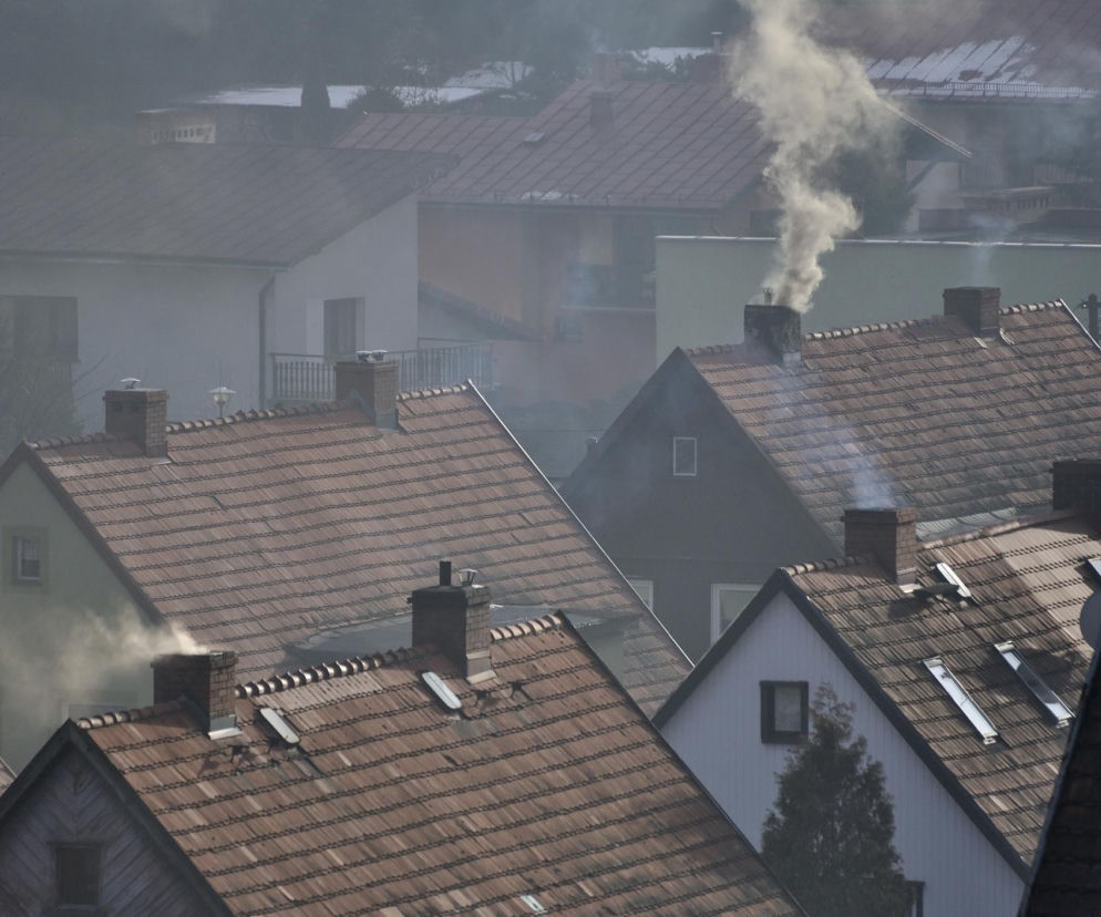 Dachy budynków mieszkalnych w dzień, z których kominów wydobywa się dym, co symbolizuje problem smogu i zanieczyszczenia powietrza. Artykuł na portalu Poradnik Zdrowie wskazuje na negatywne skutki zdrowotne związane z kopciuchami.