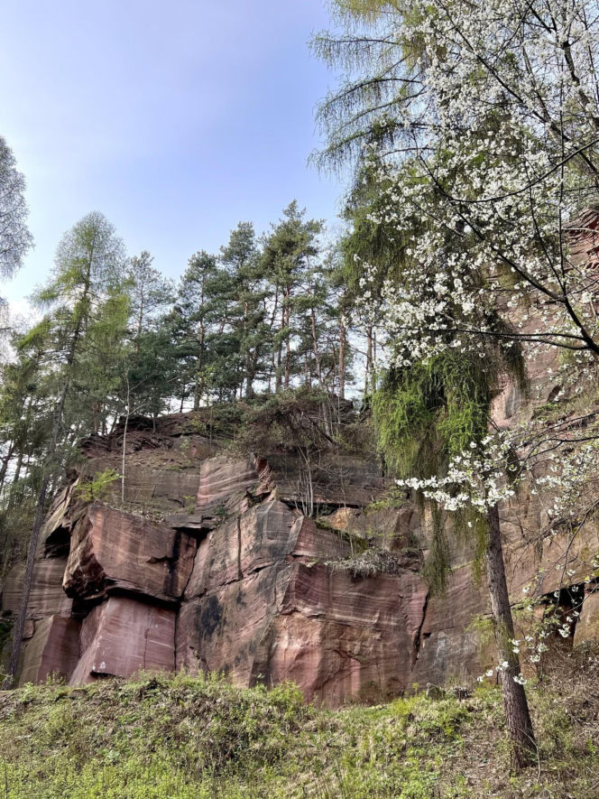 Polska Arizona tuż pod Kielcami