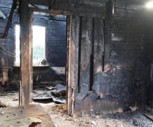 Żaroodporny pies i cud w Ciechanowcu