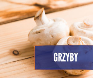 Czego nie może jeść pies? Te rzeczy mogą mu poważnie zaszkodzić! [LISTA]