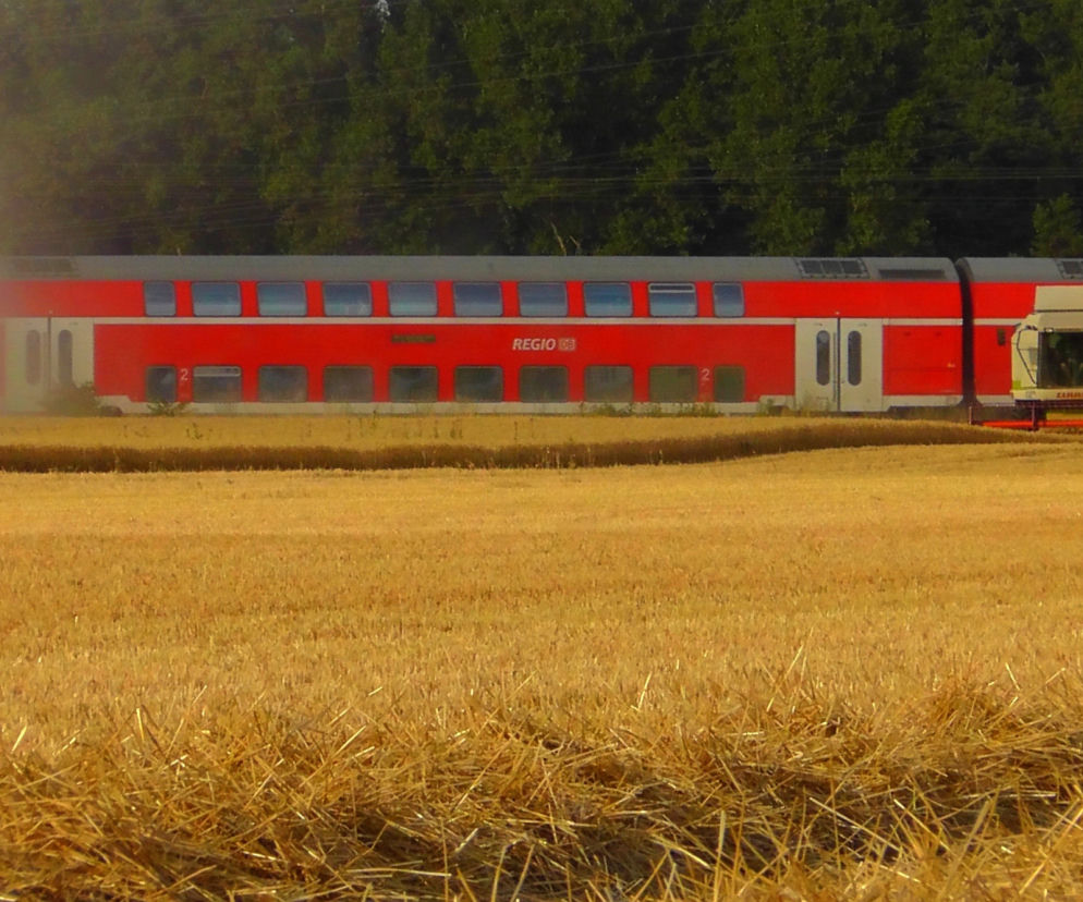 Jeden z pasażerów wyrzucił nielegalne papierosy z pociągu