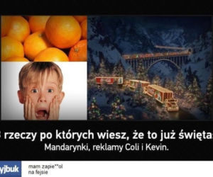 Święta Bożego Narodzenia. Te MEMY przed świętami rozbawią Was do łez! [MEMY]