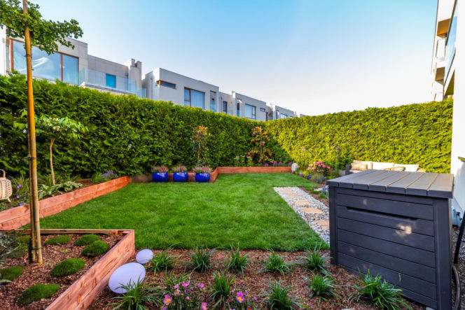 Murator Ogroduje, realizacje