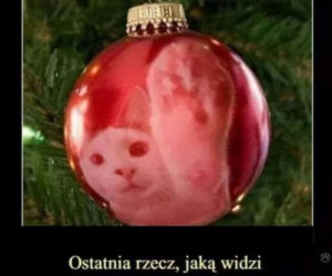 Śmieszne obrazki, które rozbawią każdego