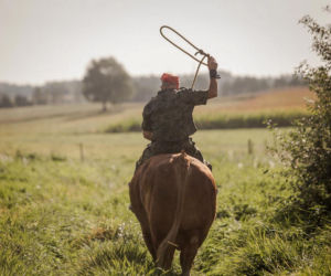Czy znany zaklinacz byków straci swoje ranczo?
