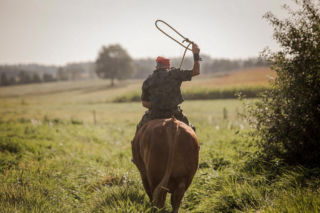 Czy znany zaklinacz byków straci swoje ranczo?