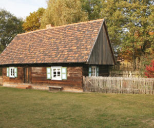 Dziekanowice w Wielkopolsce