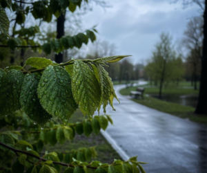 Pogoda w Szczecinie przyniesie dużą zmianę. Weekend zacznie się ciepło, ale potem spadnie deszcz