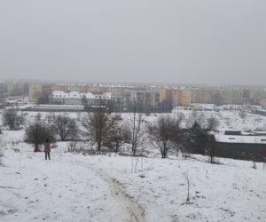 Zima na Górkach Fordońskich