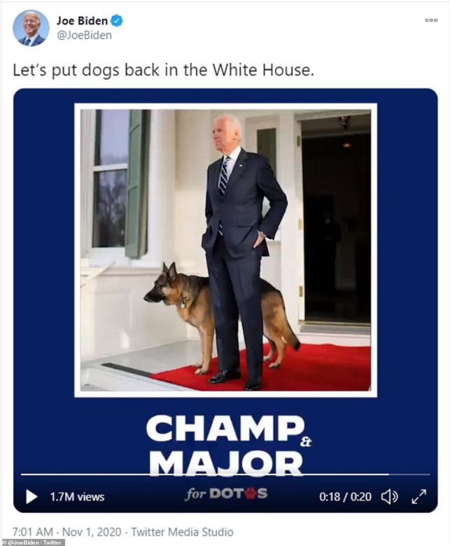 Joe Biden. Oto pierwszy pies USA