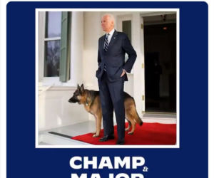 Joe Biden. Oto pierwszy pies USA