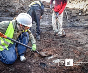 Odkrycia archeologiczne przy ul. Zbożowej