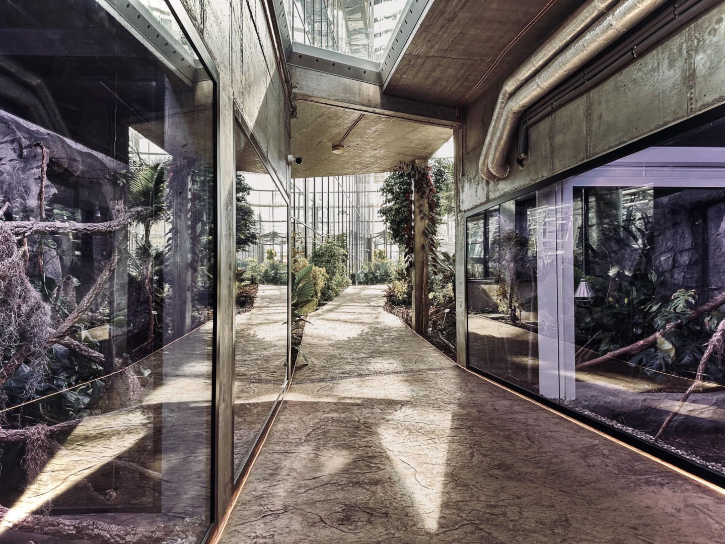 Egzotarium w Sosnowcu