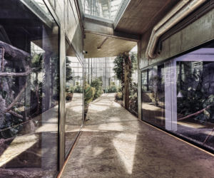 Egzotarium w Sosnowcu